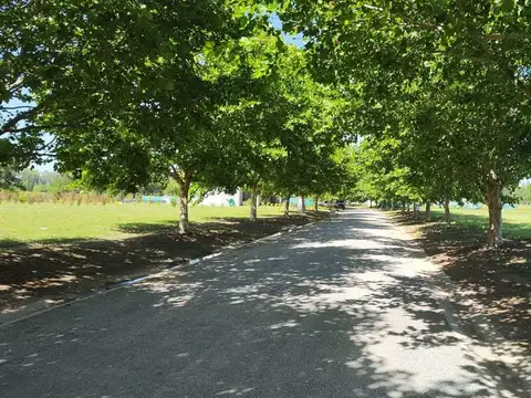 Avenida Fernández Beschtedt