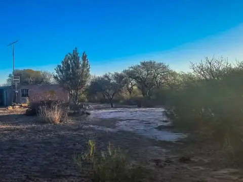 VENTA DE CAMPO EN ARBOL SOLO - SAN LUIS