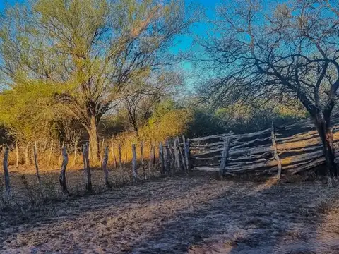 Campo en Venta en Arbol Solo, Belgrano