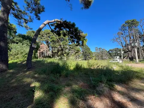 Terreno en Venta en Pueblo San Jose, USD 75.000