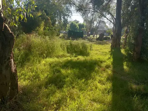 Terreno en Venta 37  mts Fondo