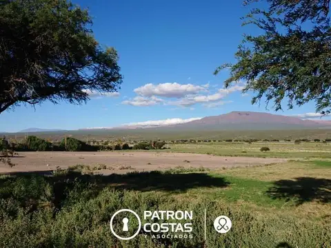 Molinos
