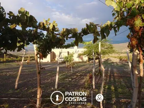 Chacra en venta en Molinos Valles Calchaquies