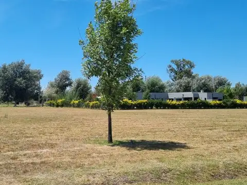 Terreno en Venta de 2326,0 m2