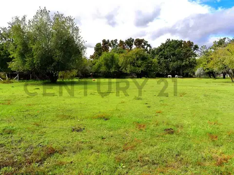 Terreno en Venta de 2411,05 m2