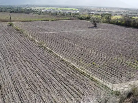 La Silleta. Salta. R 51