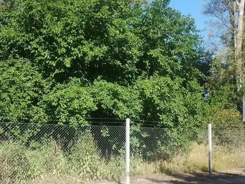 Lote En Venta En El Barrio Robles Del Monarca, Manuel Alberti, Pilar, Gba Norte