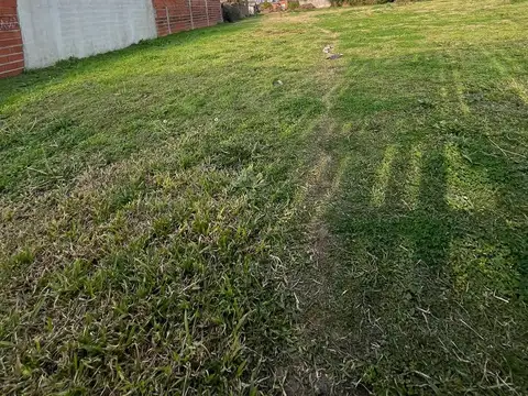 Terreno en Venta 49  mts Fondo