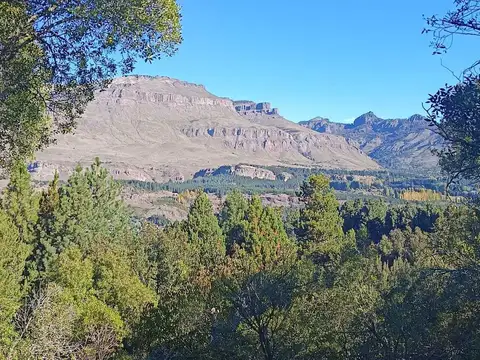 Lote  en Venta en Ruca Hué, San Martin de los Andes