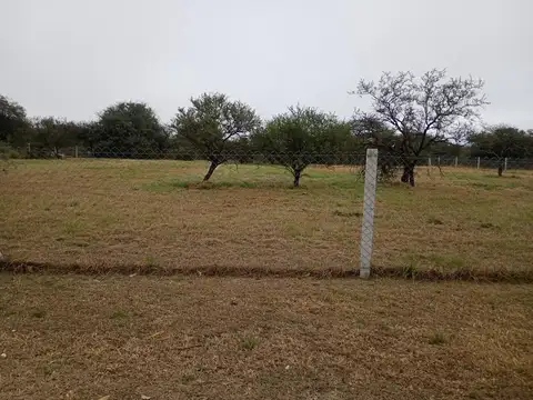 Country La Melinca 100