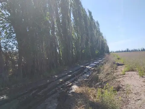 Calle los pinos gran inversión!