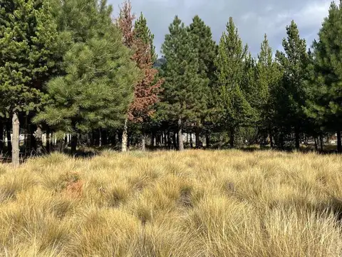 LOTE N° L10 EN VENTA - CLUB DE CAMPO DOS VALLES