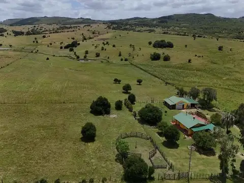 Camino vecinal