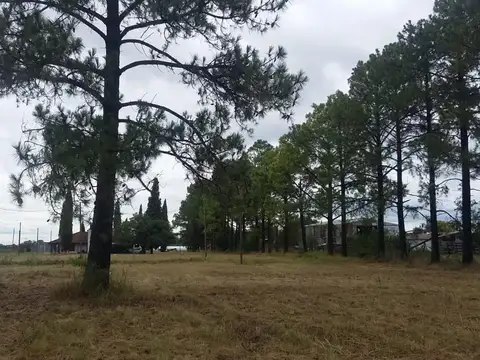 Terreno en Venta de 300,0 m2