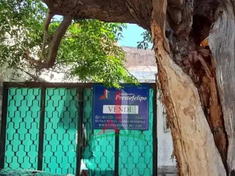 primero de mayo y 100