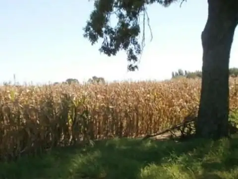 El Verdum