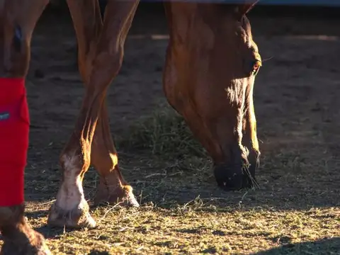 Terreno en Venta en Ibarlucea, USD 87.000