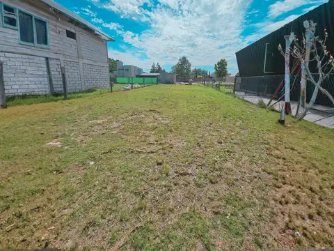 TDS 3 - Totoras al 2900