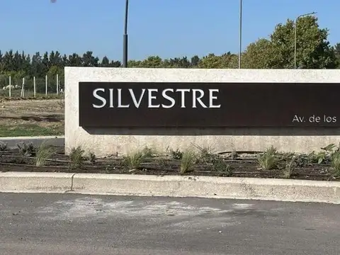 Barrio Silvestre lote interno