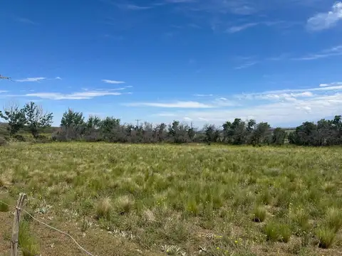 LOTE EN VENTA LA CARRERA TUPUNGATO VALLE DE UCO