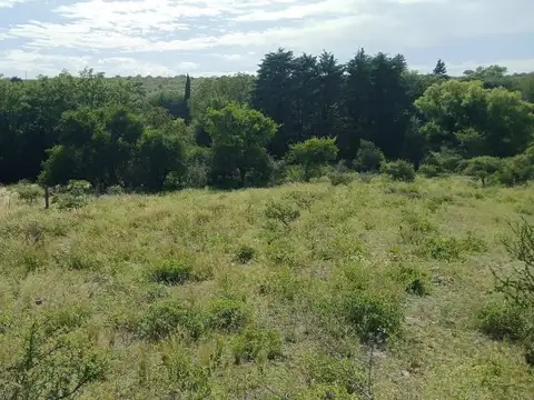 VENTA TERRENO TANTI 50.500m2 OPORTUNIDAD INVERSOR