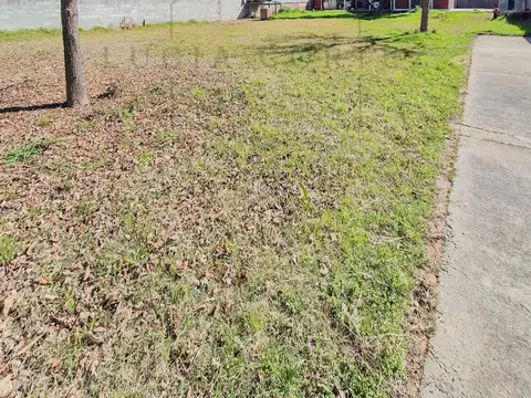 Manuela Pedraza al 1800