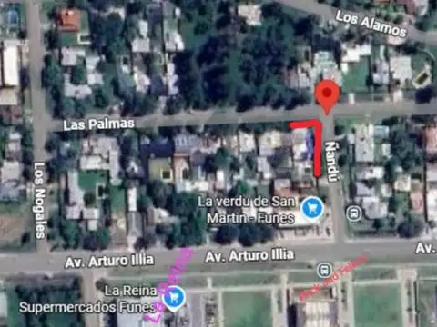 Ñandú y las Palmas