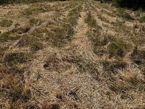 Terreno en Venta 15  mts Frente