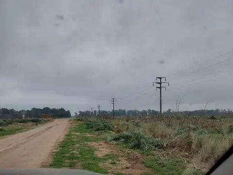Espora