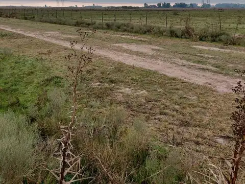 Terreno en Venta de 55900,0 m2