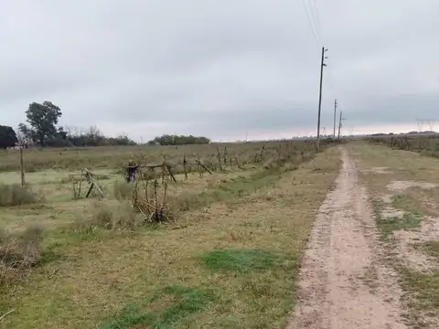 Espora