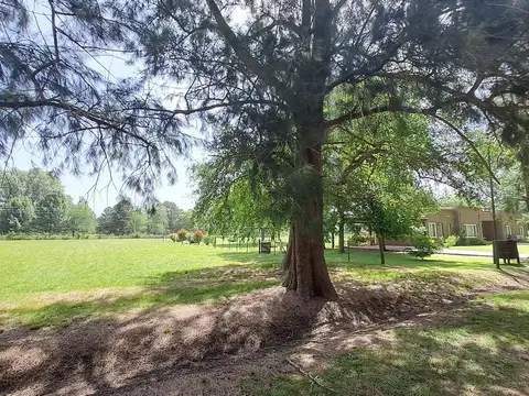 Terreno en Venta 48  mts Frente