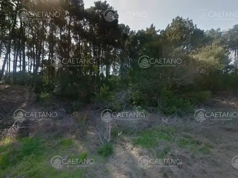 Excelente terreno con 1000 metros cuadrados ubicado a 250 metros del mar con muy buena orientación de sol y 45 metros de frente.  No se pierda esta op