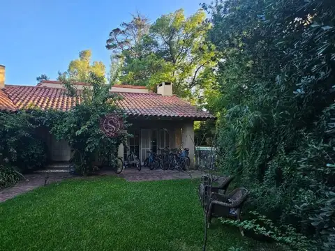 Los lagartos cc 100