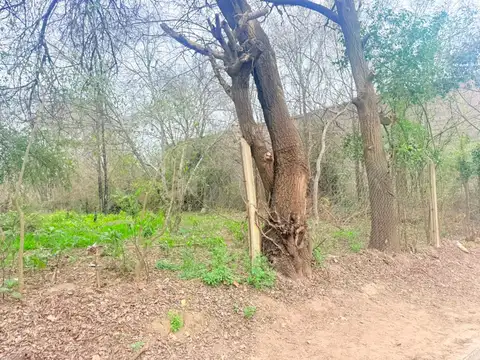 Terreno en Venta de 1528,0 m2