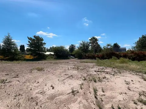 Terreno en Venta de 10000,0 m2