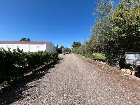 VENTA LOTE 10.000M2-VISTALBA LUJAN DE CUYO MENDOZA