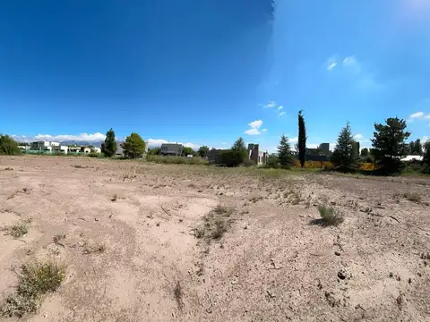 VENTA LOTE 10.000M2-VISTALBA LUJAN DE CUYO MENDOZA