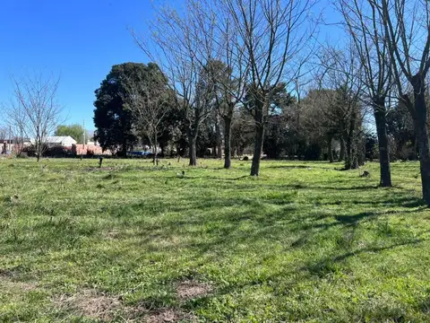 San Lorenzo