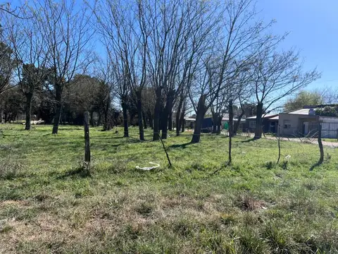 Terreno en Venta de 318,0 m2