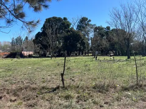 San Lorenzo