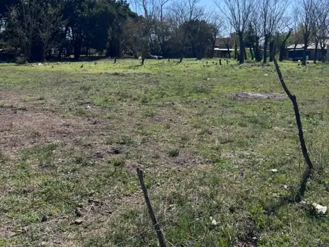 Terreno en Venta de 318,0 m2
