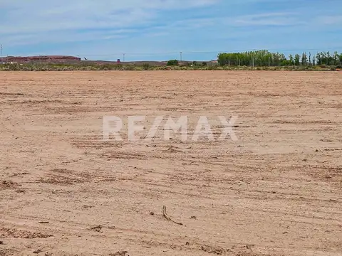 Terreno en Alquiler de 5000,0 m2