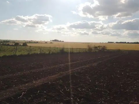 Campo en Venta de 13  ha