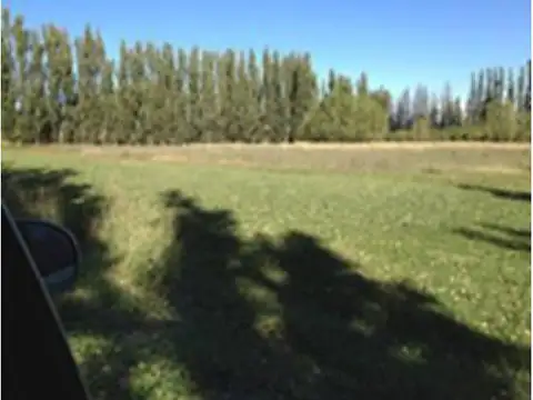 Campo en Venta de 29  ha