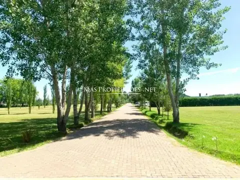 Terreno en Venta en Alejandro Petion, USD 45.300