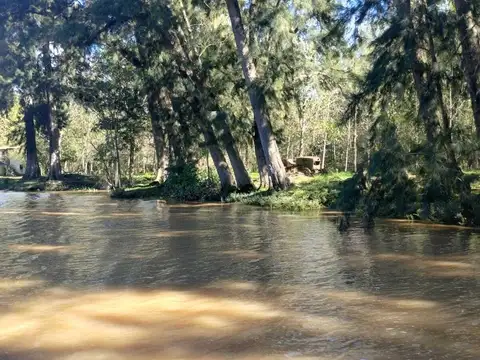 Rio o Arroyo Felicaria Nolo 100