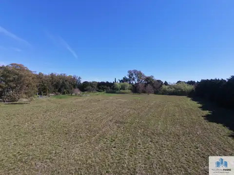 Campo en venta de 5ha ubicado en La Luisa