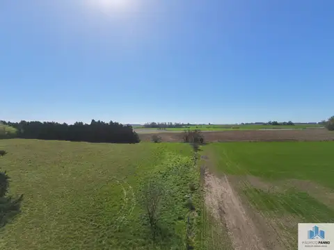 Campo en venta de 5ha ubicado en La Luisa