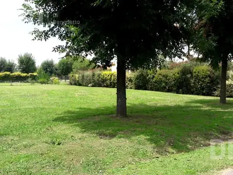 VENTA DE LOTE EN CAÑUELAS